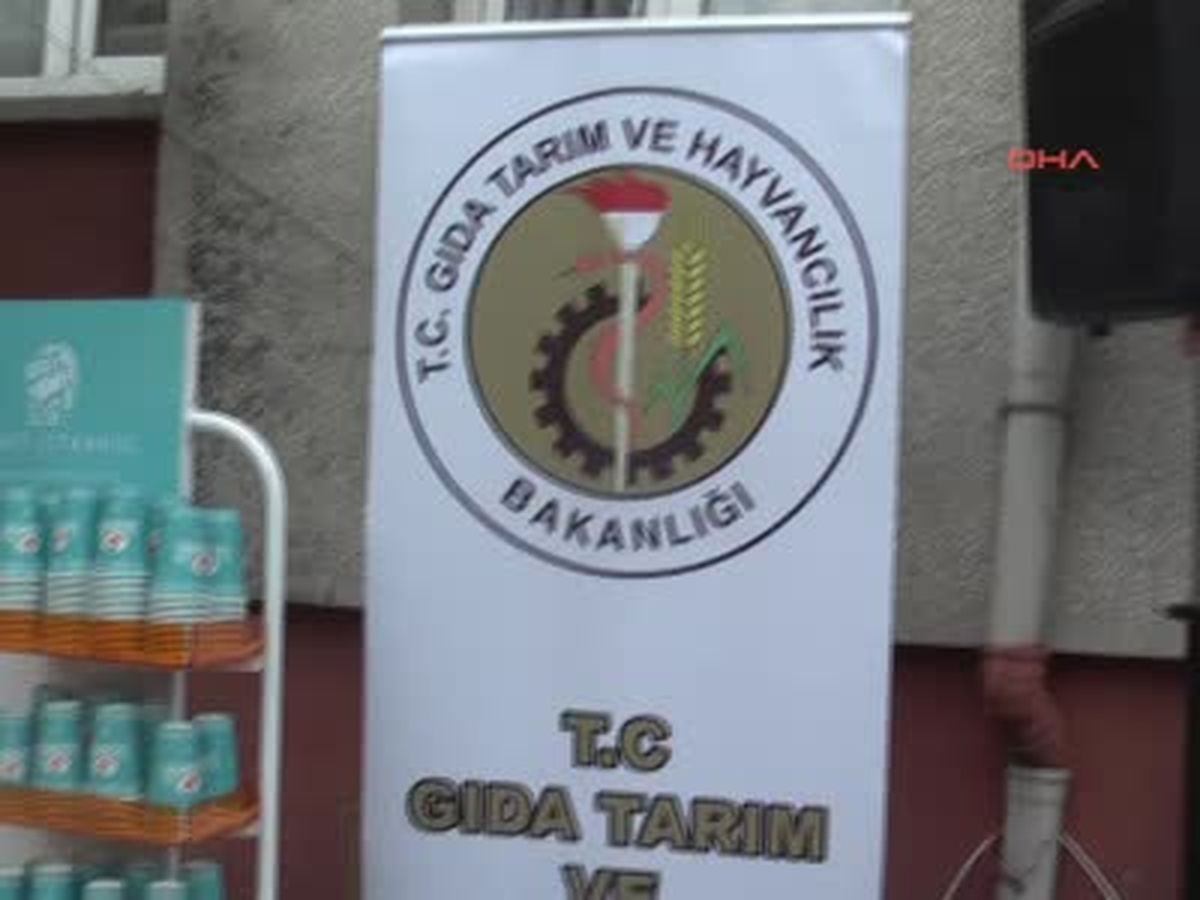 Bu Çeşme Başka Çeşme