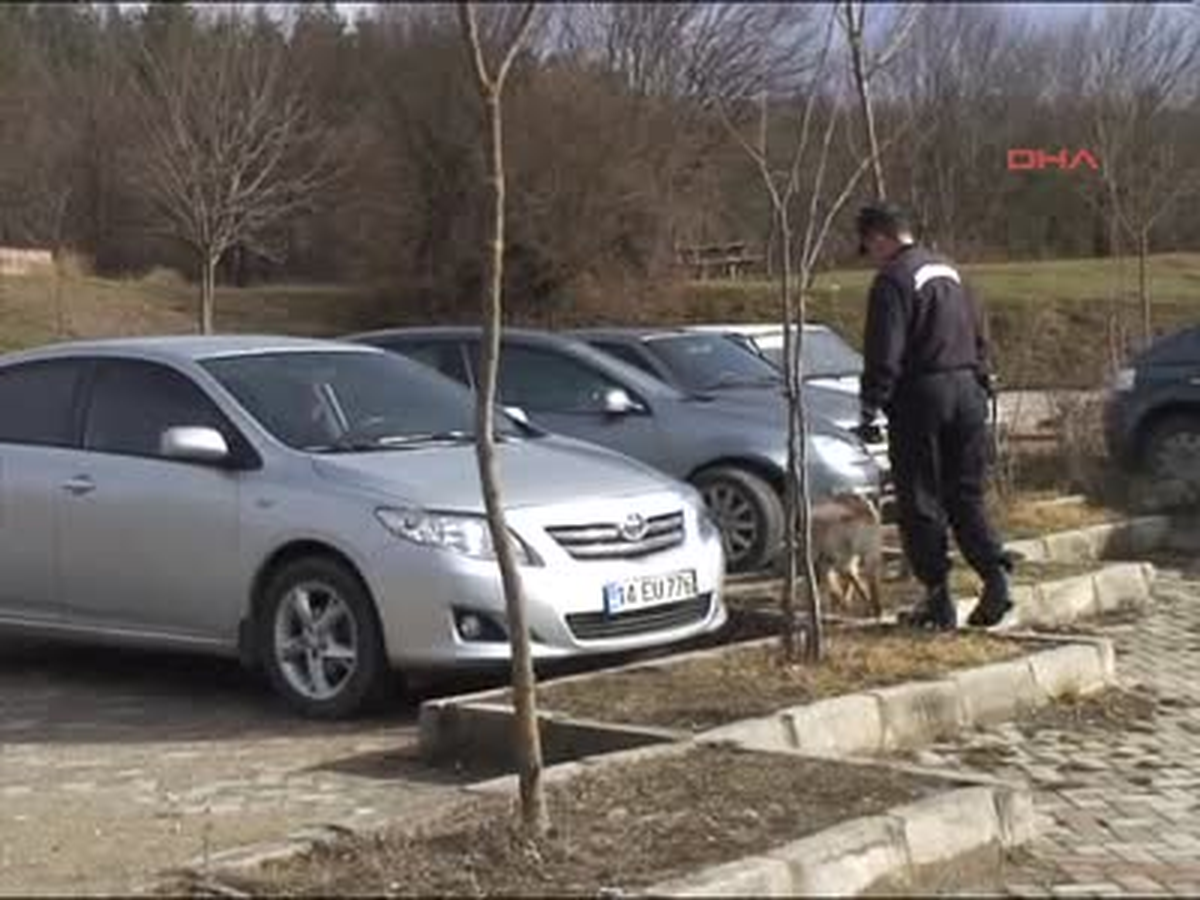 'Belçika Kadar Alanı Ağaçlandıracağız'