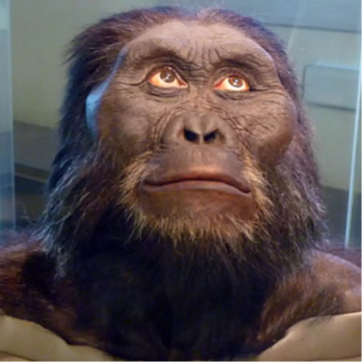 Ukrayna\'da Neandertallere Ait Ev Bulundu