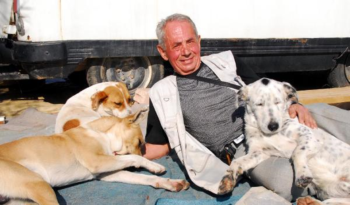 Emekli Nöropsikiyatrist, Sokak Köpeklerini Eğitiyor