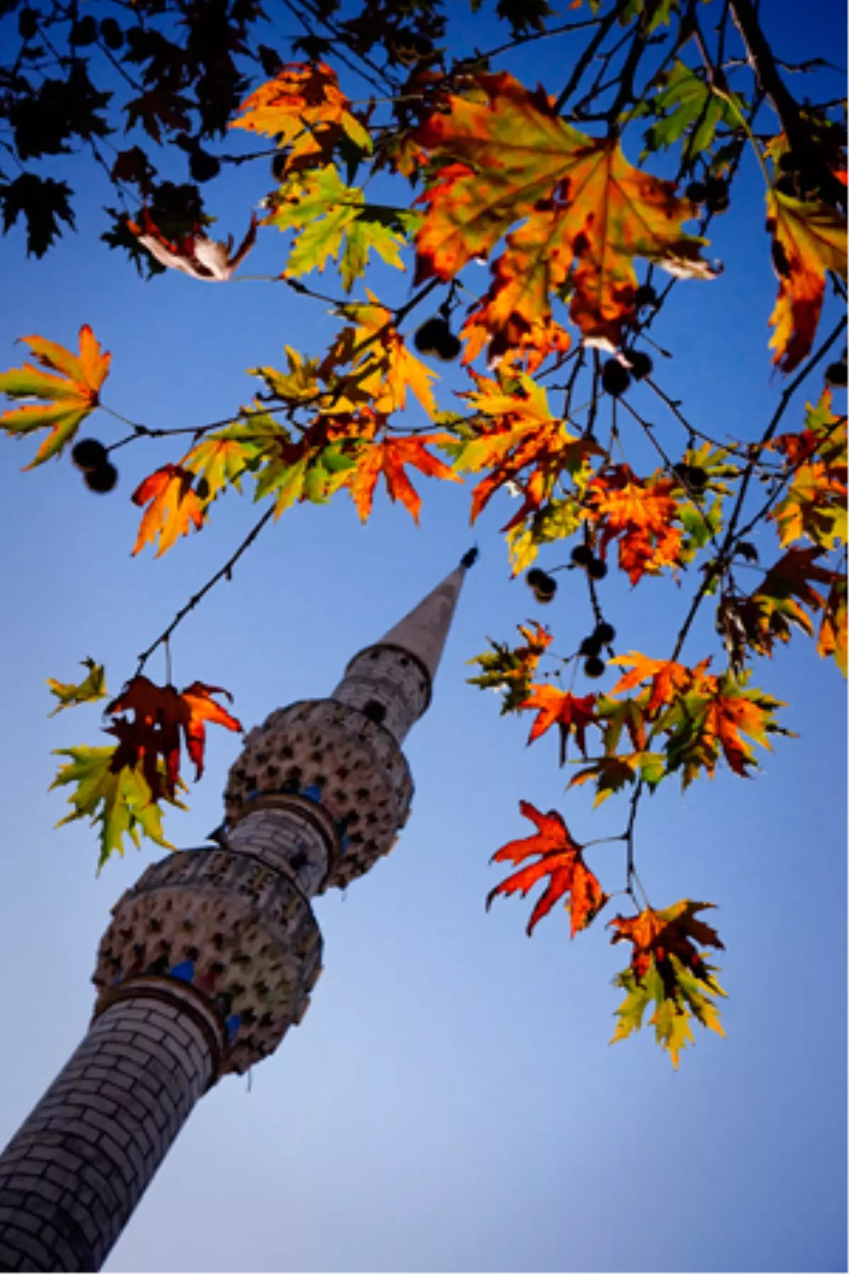 Sultanbeyli Almanya\'ya Taşındı