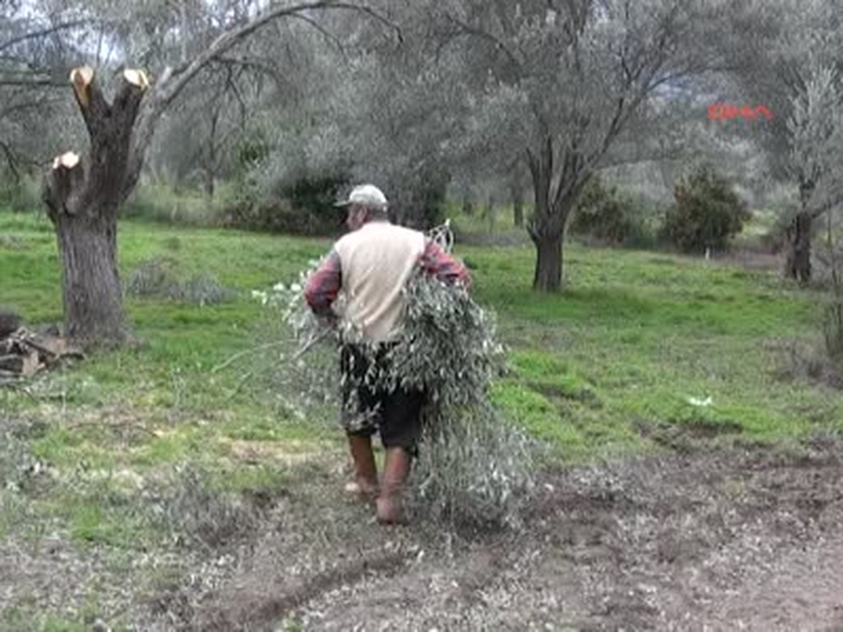 Hayvanlarını Ölüme Terkediyorlar İddiası