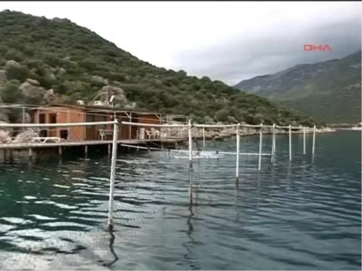 Kaş'ta Yunus Gösteri Merkezi Tartışması