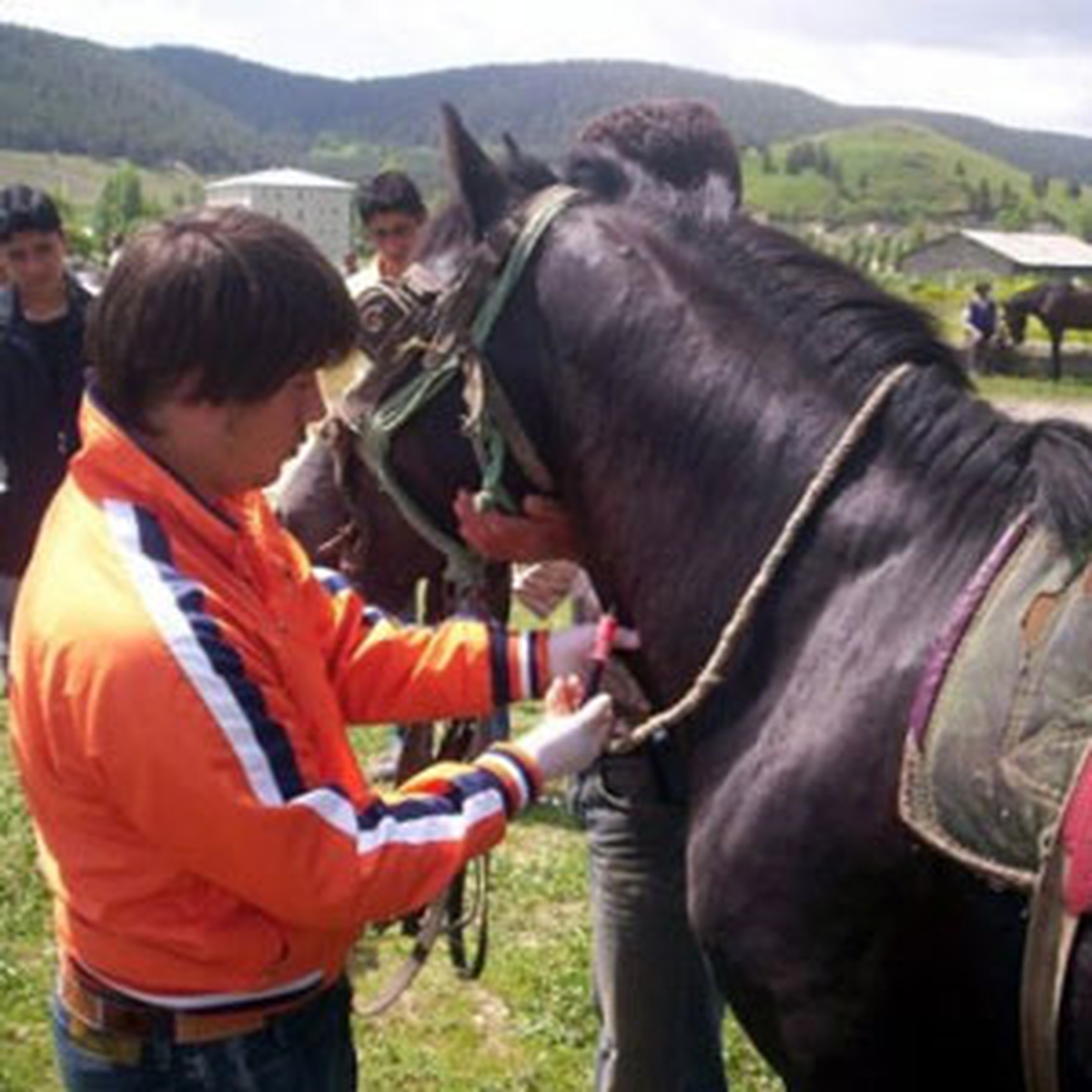 Tarım Bakanlığı At Hastalıklarıyla Mücadele Edecek