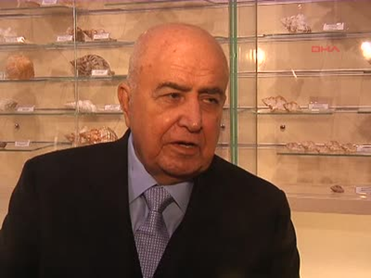 Bodrum ) 3 Bin 500 Deniz Kabuklusu Müzede