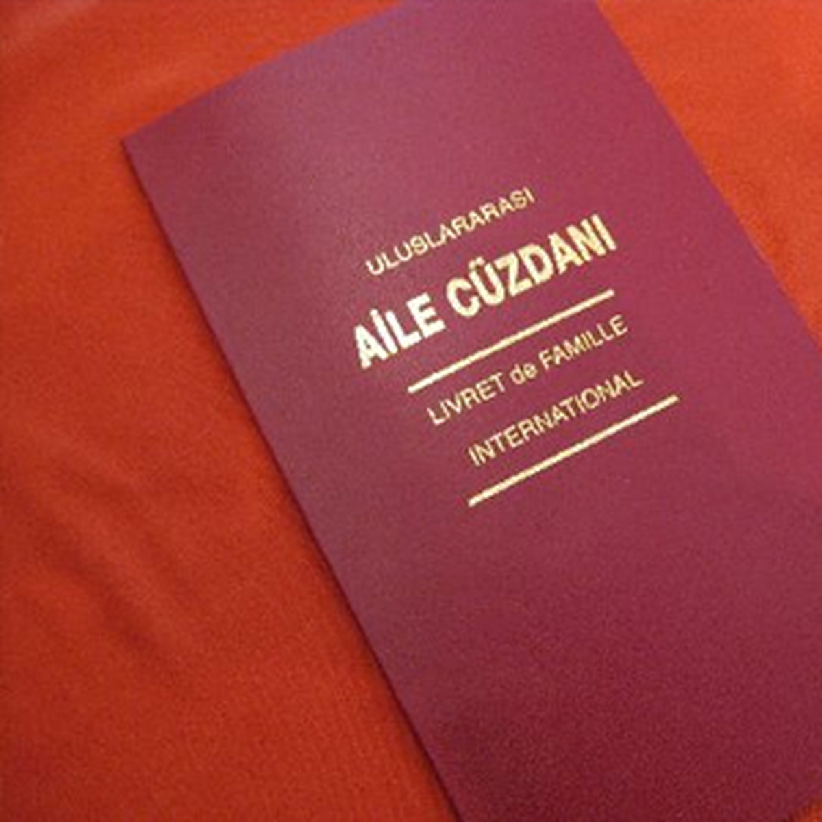 Depremzede Çifte Nikah Töreni