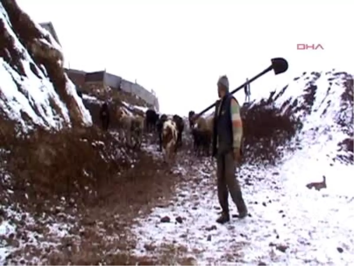 Muş ) Buzu Kırıp Hayvanlara Su İçiriyorlar