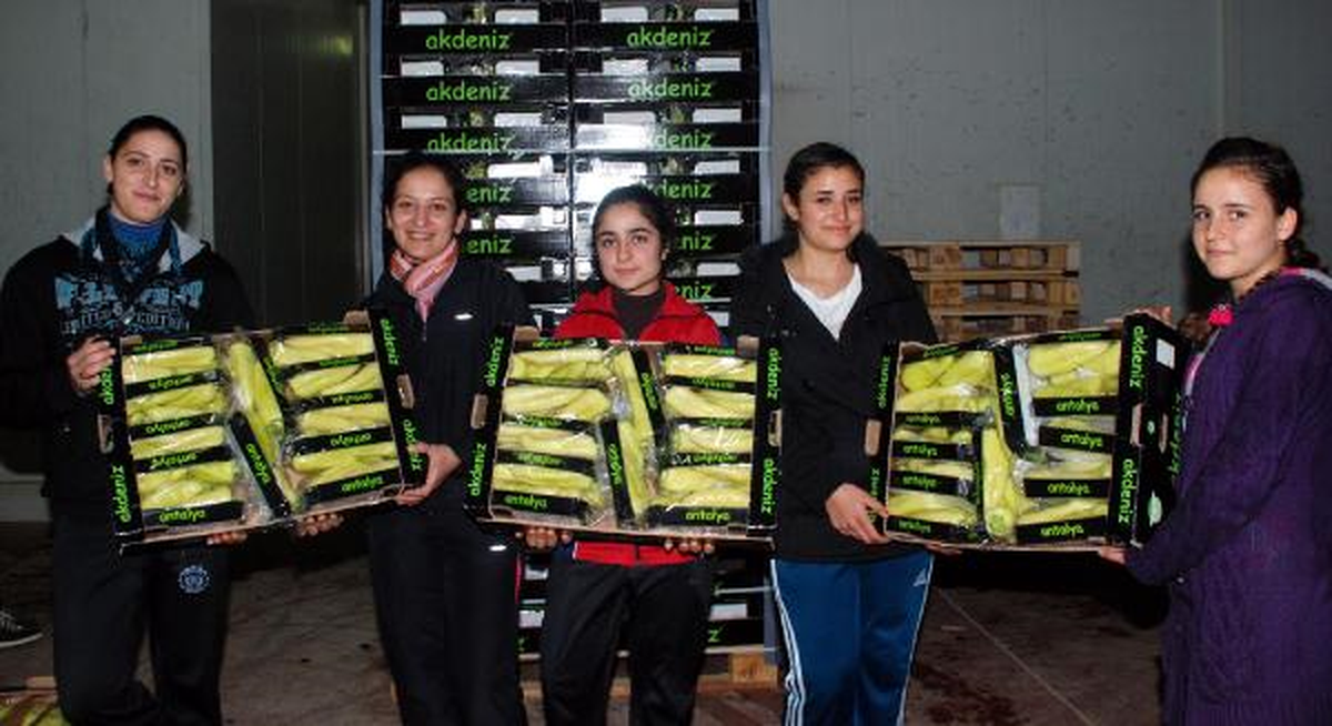 Almanya'ya Biber İhracatının Yolu Böcekle Açıldı