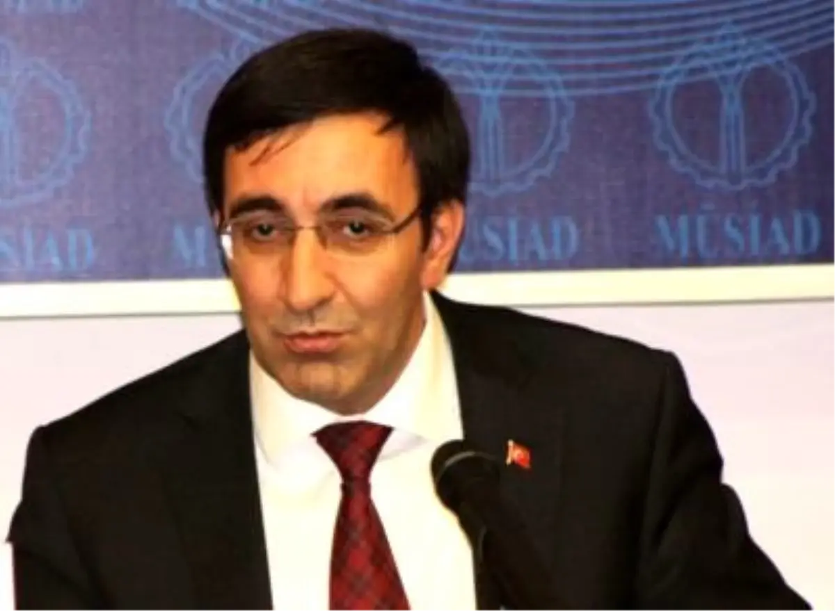 "Ak Parti Gençlerin Partisidir"