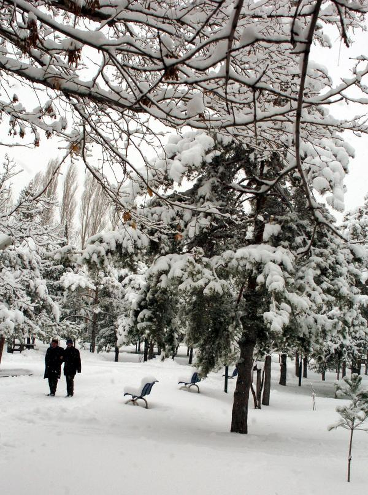 Erciyes'de 47 Santim Kar Var