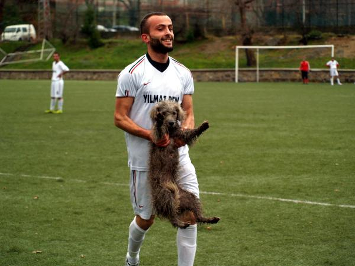 Sahaya Giren Köpeği Futbolcu Çıkardı