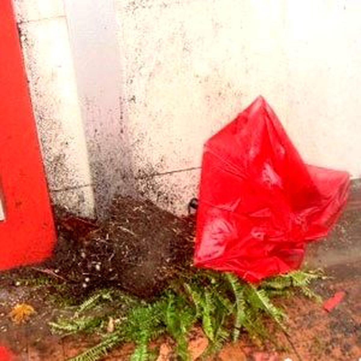 Balkondan Başına Saksı Düşen Turist, Ev Sahibini Tazminata Mahkum Ettirdi