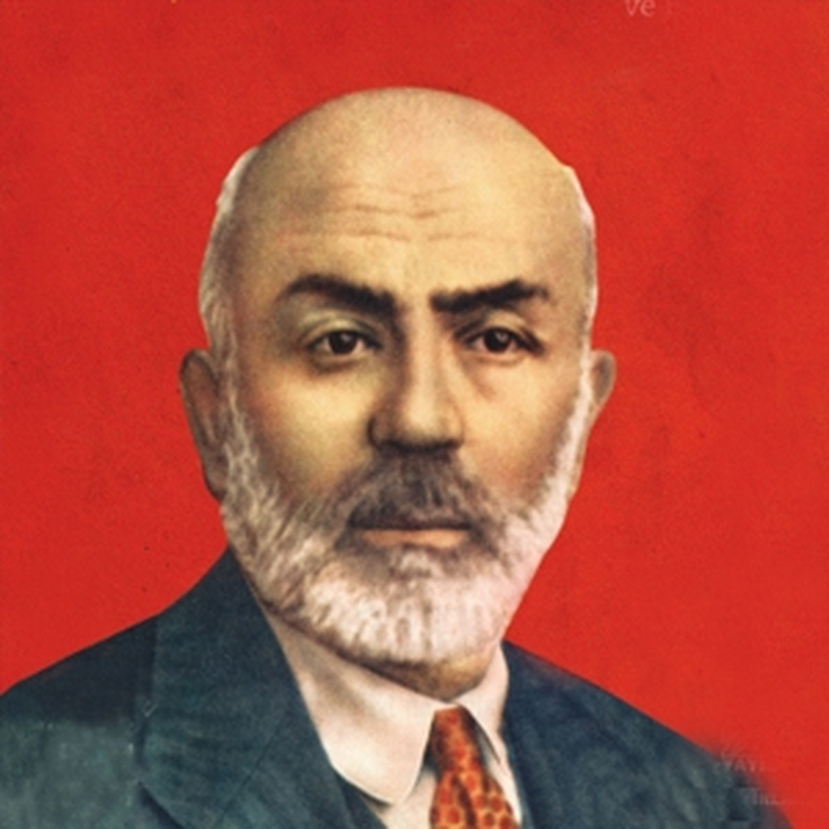Mehmet Akif Ersoy, Priştine'de Anıldı