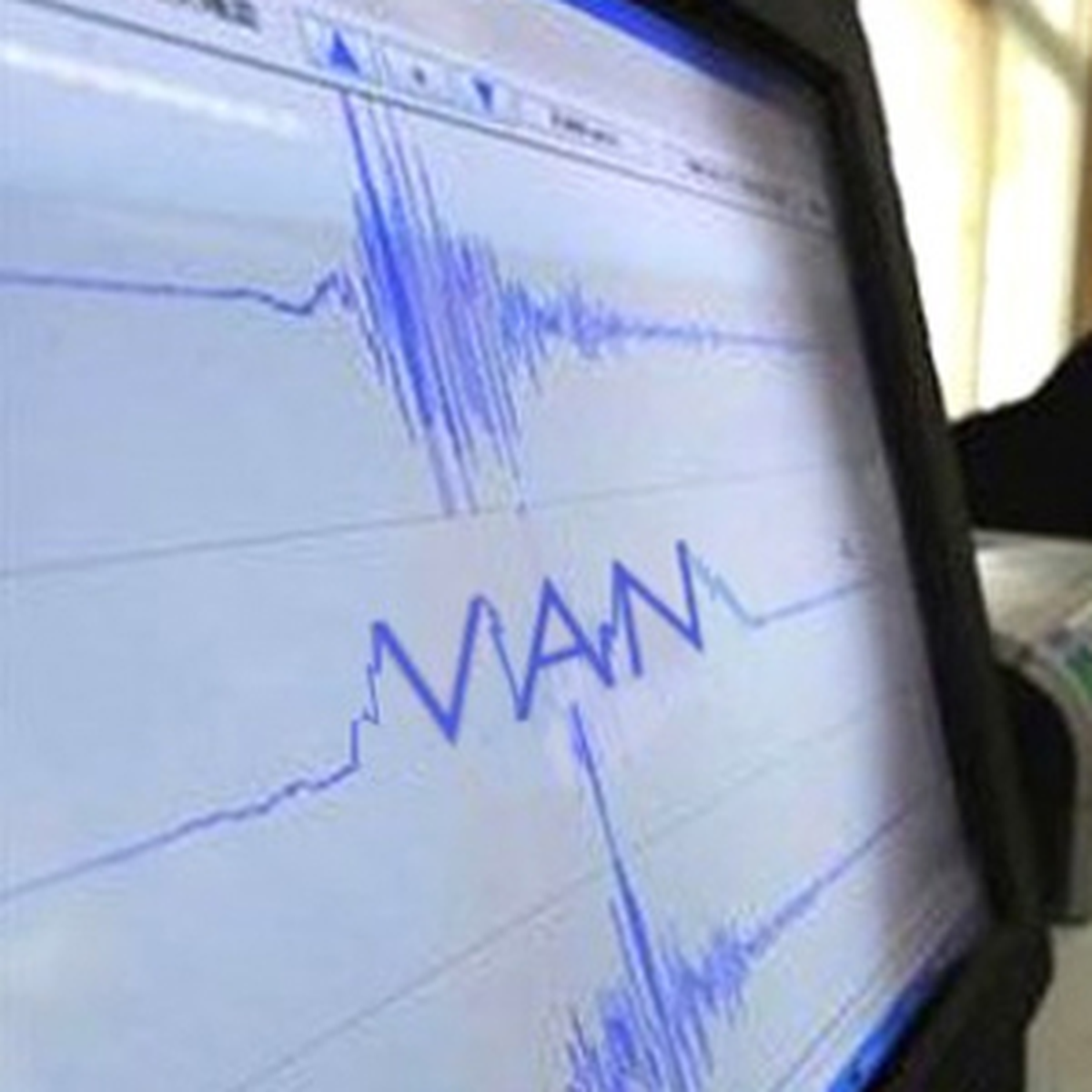 Van Muradiye'de Deprem!