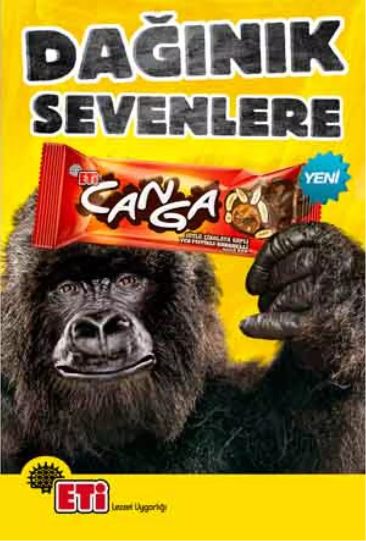 Dev Goril İlk Kez Türkiye'de