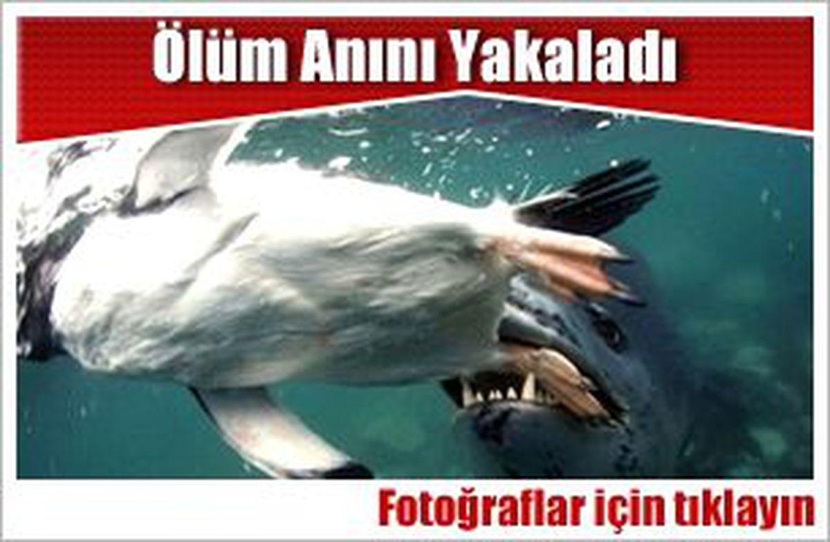 Ölüm Anını Yakaladı