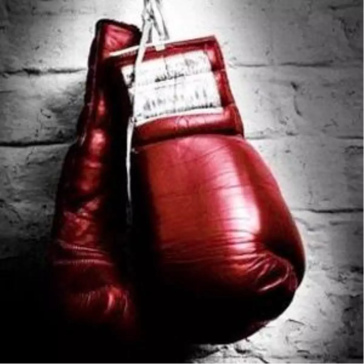 Kağıtspor Boks\'ta Devlerle Yarışıyor