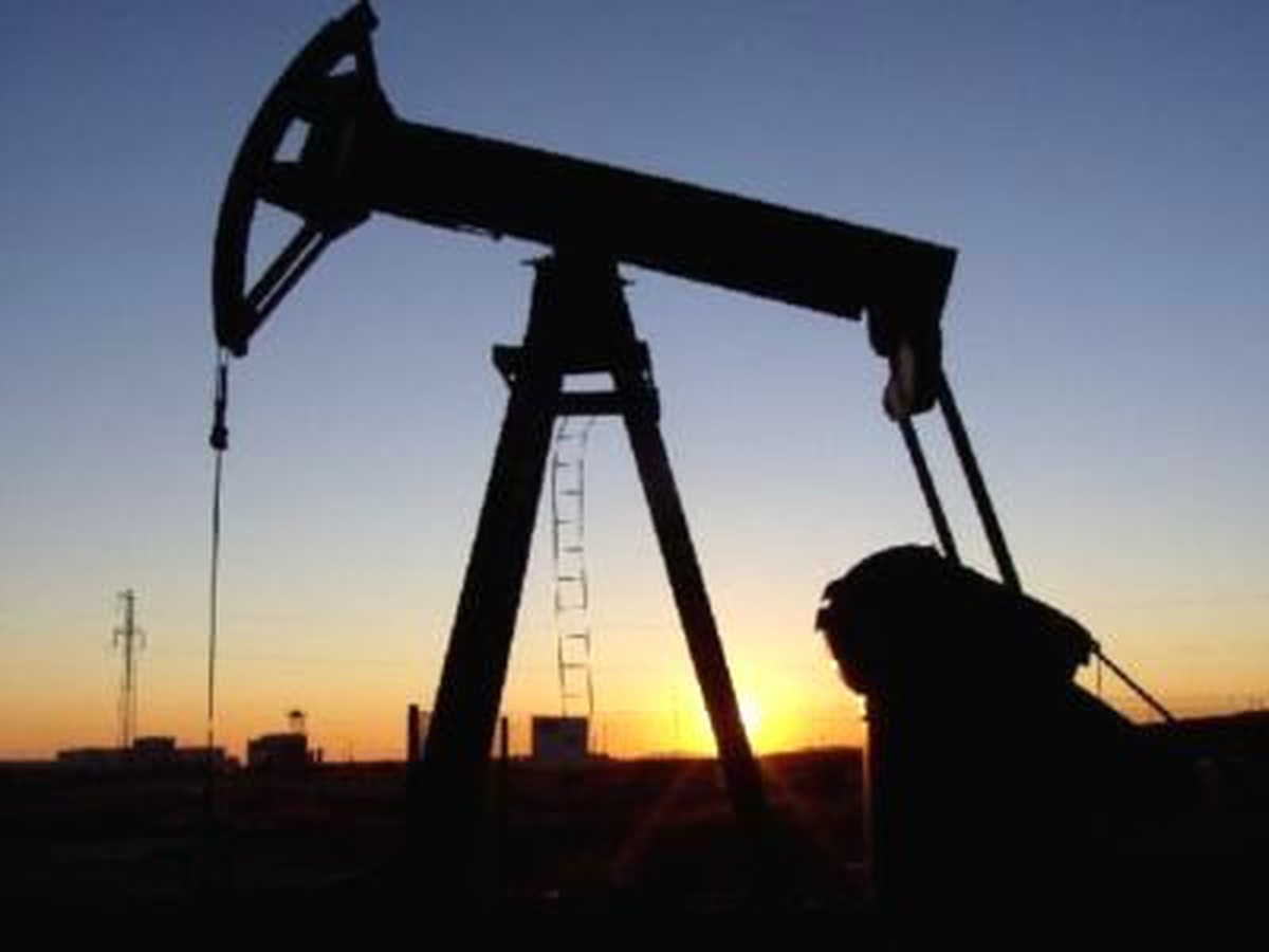 Tpao Petrol Arama Ruhsatının Süresini Uzatmak İçin Müracaat Etti