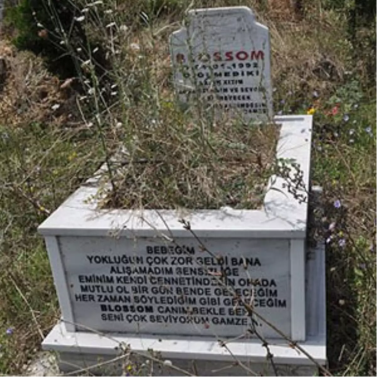 Türkiye\'nin Tek Hayvan Mezarlığı Tuzla\'da