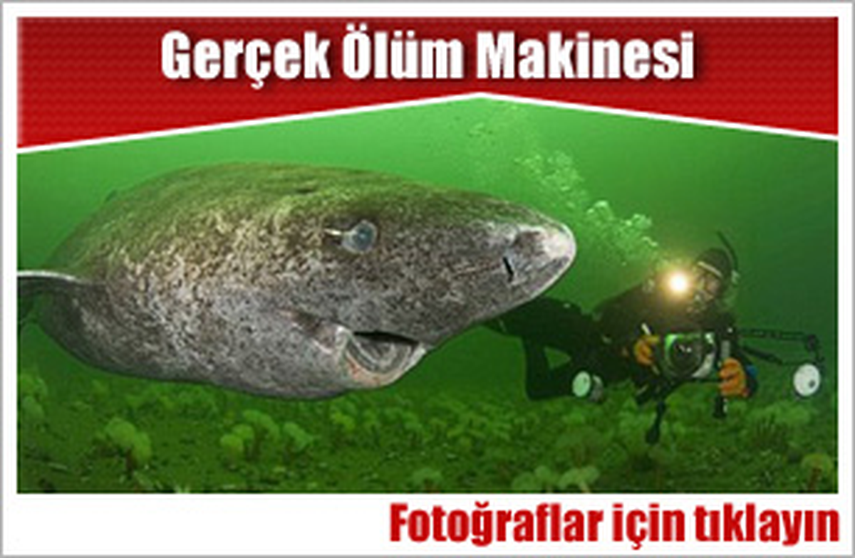 Gerçek Ölüm Makinesi