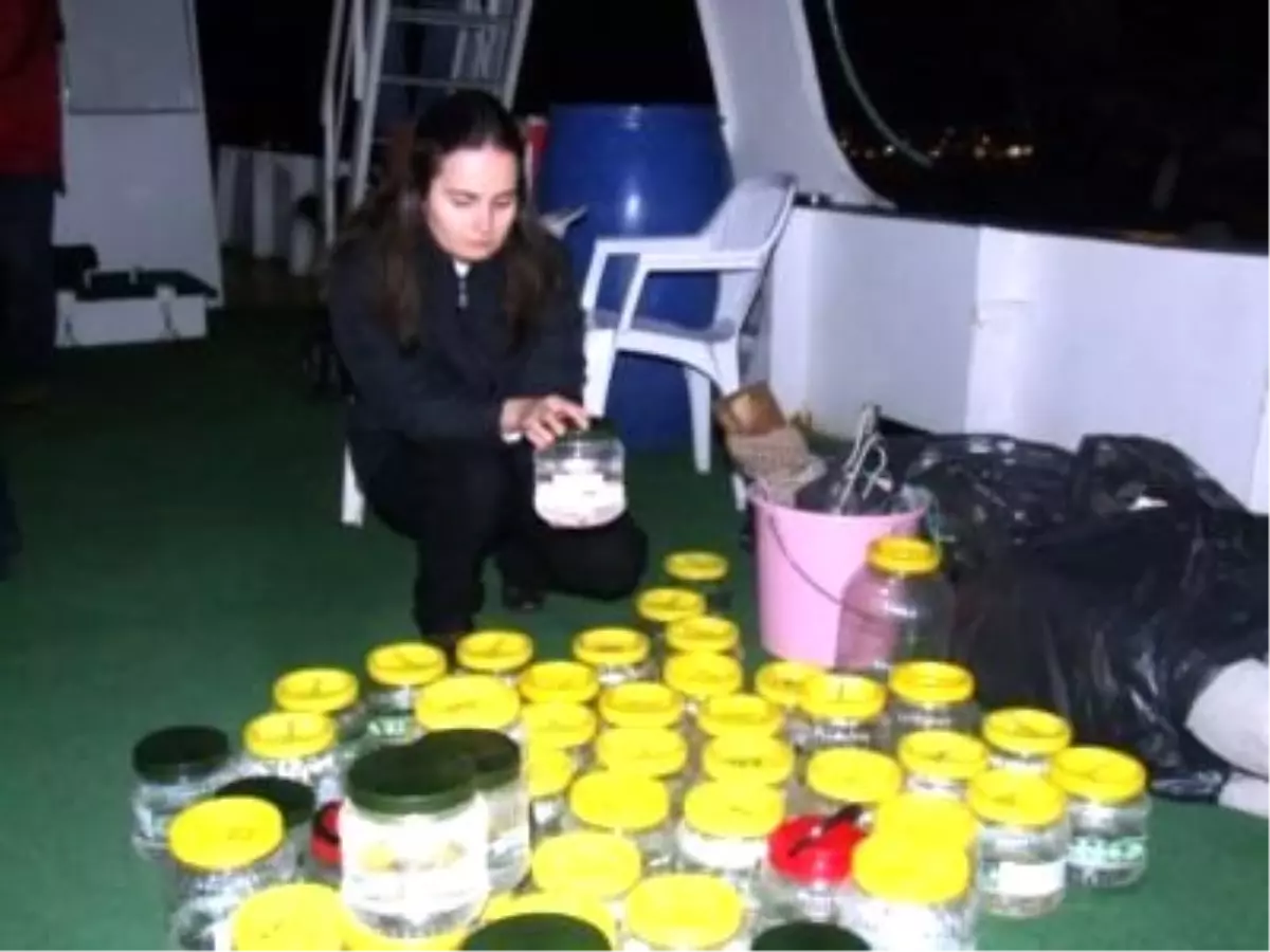 Marmaris Körfezi İnceleniyor