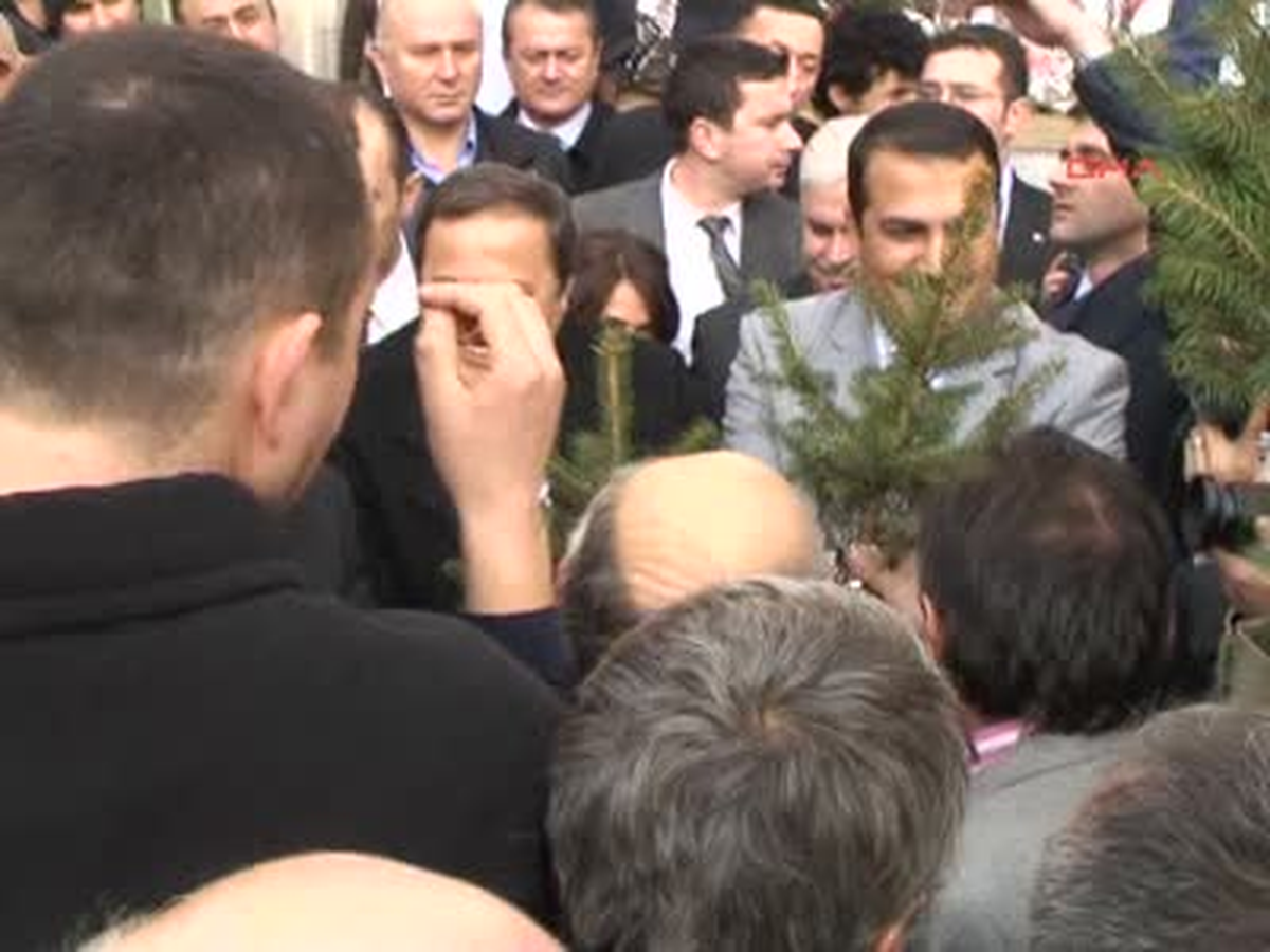 Mavi Ladin İzdihamı