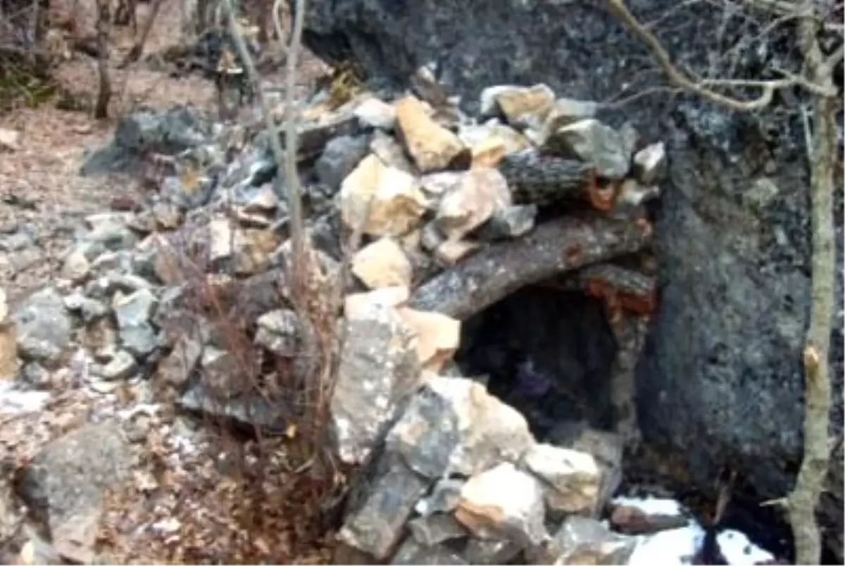 Tunceli\'de PKK\'ya Büyük Darbe