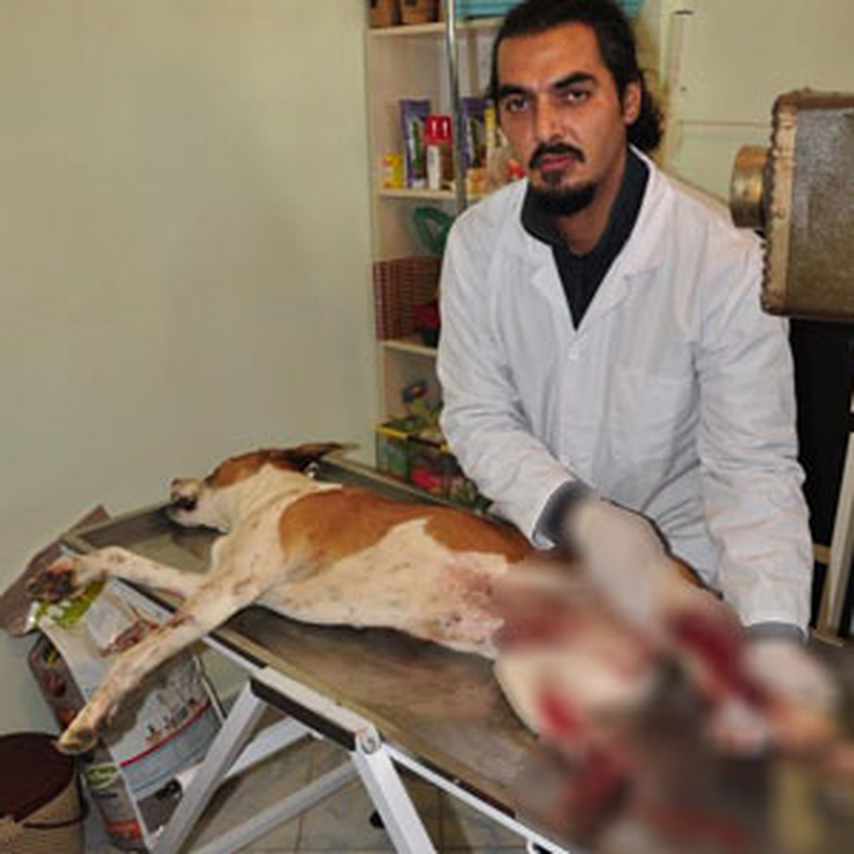 İnsan Olan Bunu Yapmaz!