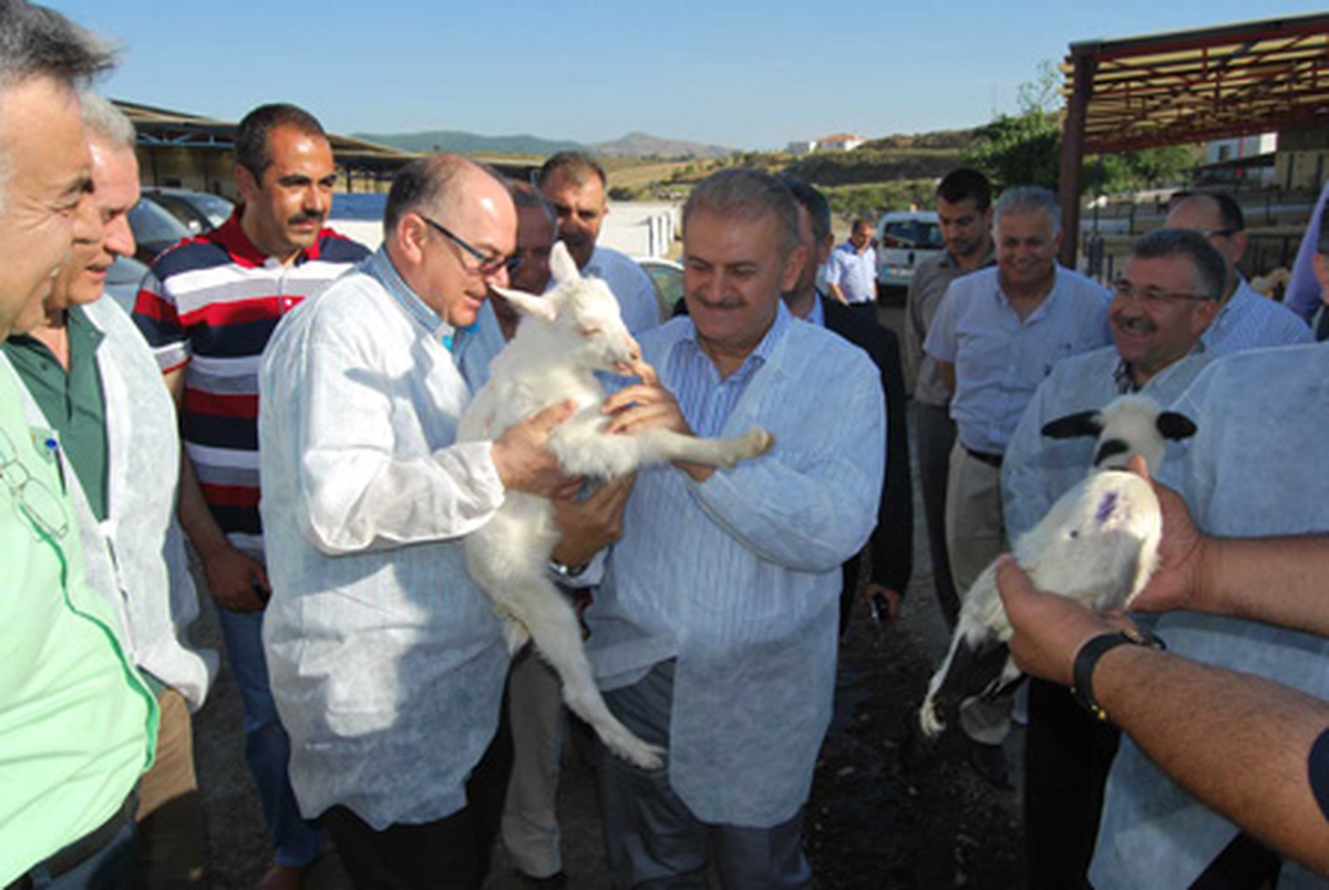Özer Türer Merkez Birliği Başkanlığına Aday