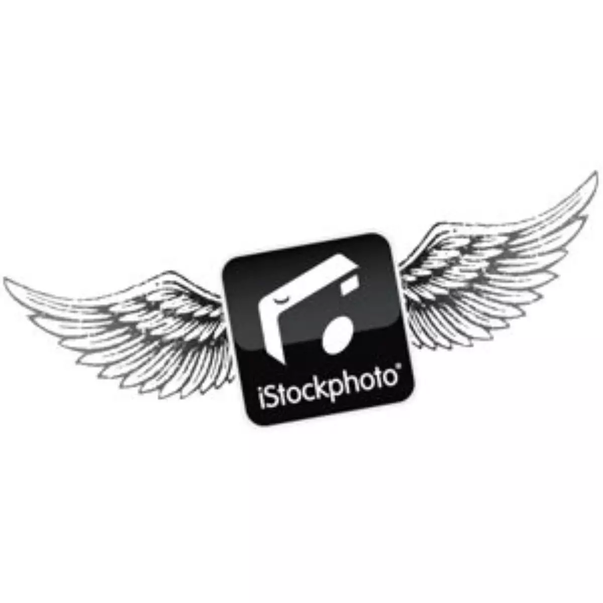 Stok Fotoğrafçılığından Para Kazanma Yolları