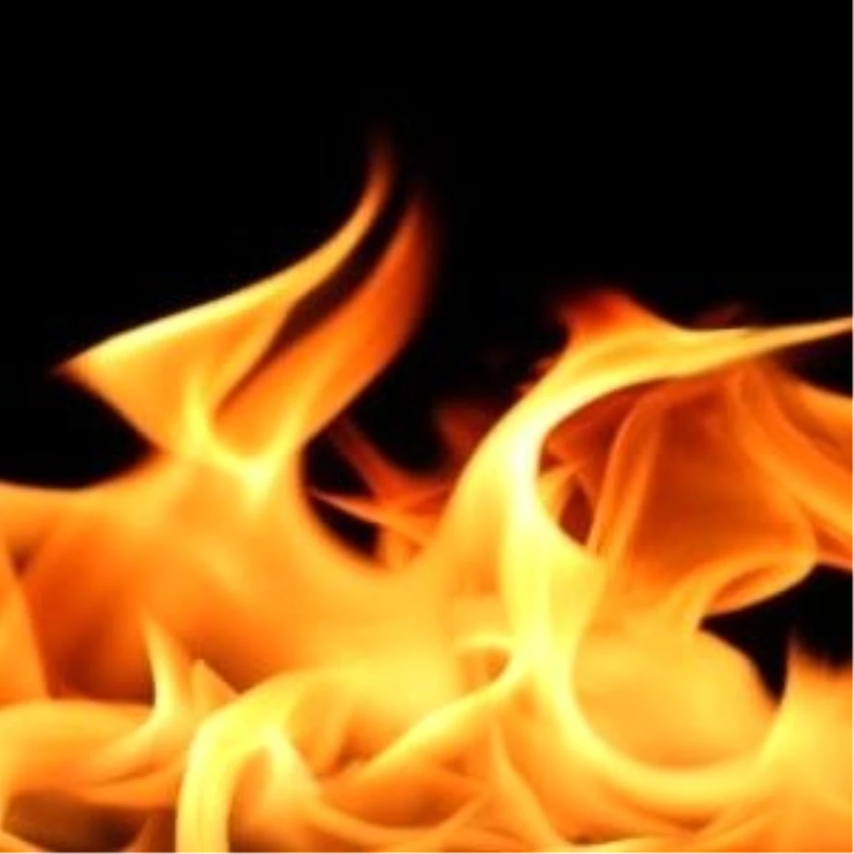 Tunceli\'de Yangın: 1 Ölü