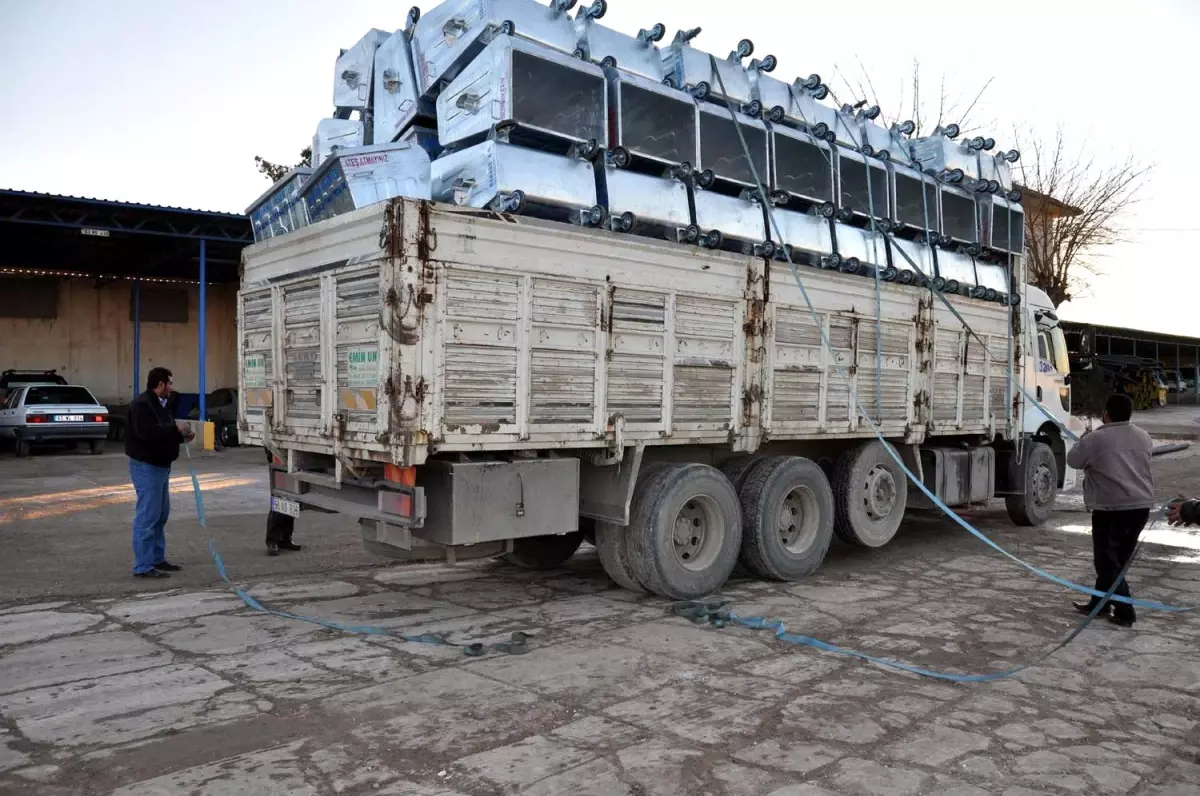 Akçakale Belediyesi 250 Adet Çöp Konteynırı Aldı