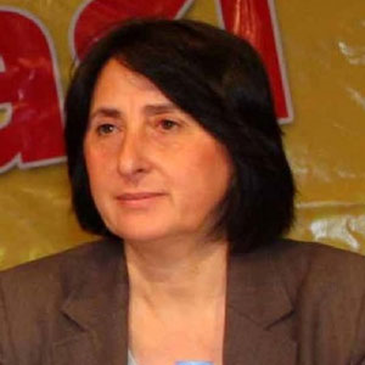 BDP Milletvekili Nursel Aydoğan Açıklaması