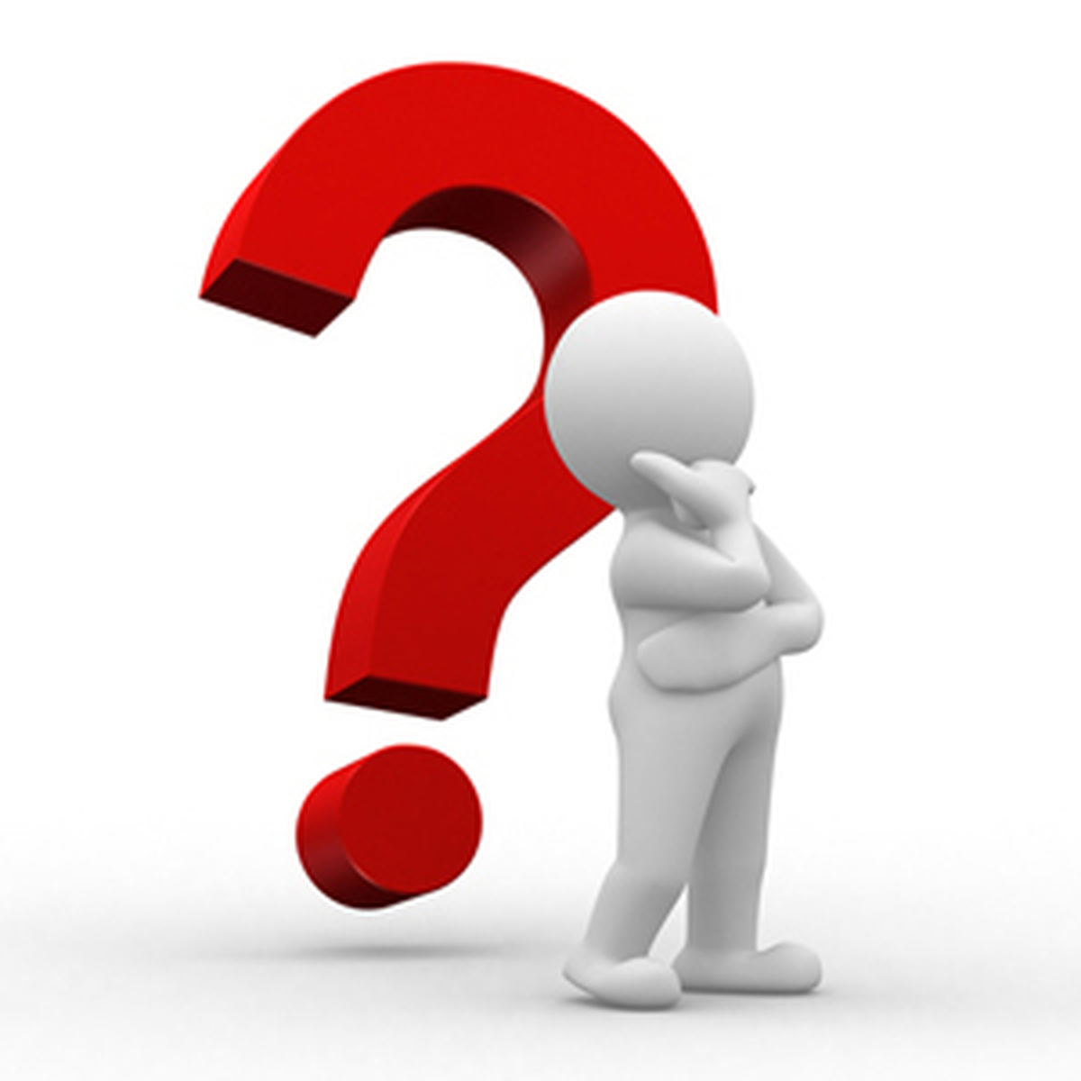 Beylikdüzü'nde Bilgi Yarışması Maratonu