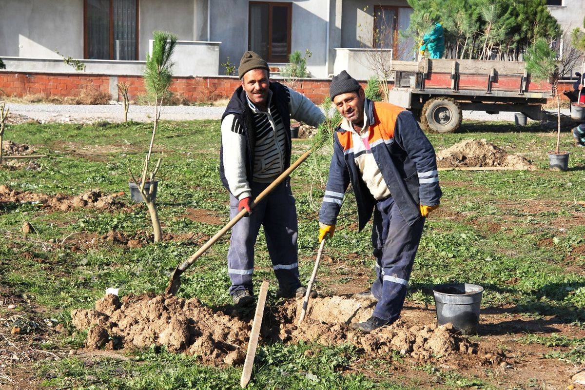 Burhaniye\'de Yeşil Seferberlik