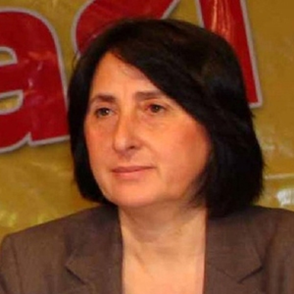 Diyarbakır1bdp'li Aydogan; PKK Terör Örgütü Değil, Kürt Halkının Özgürlüğü İçin Mücadele Ediyor