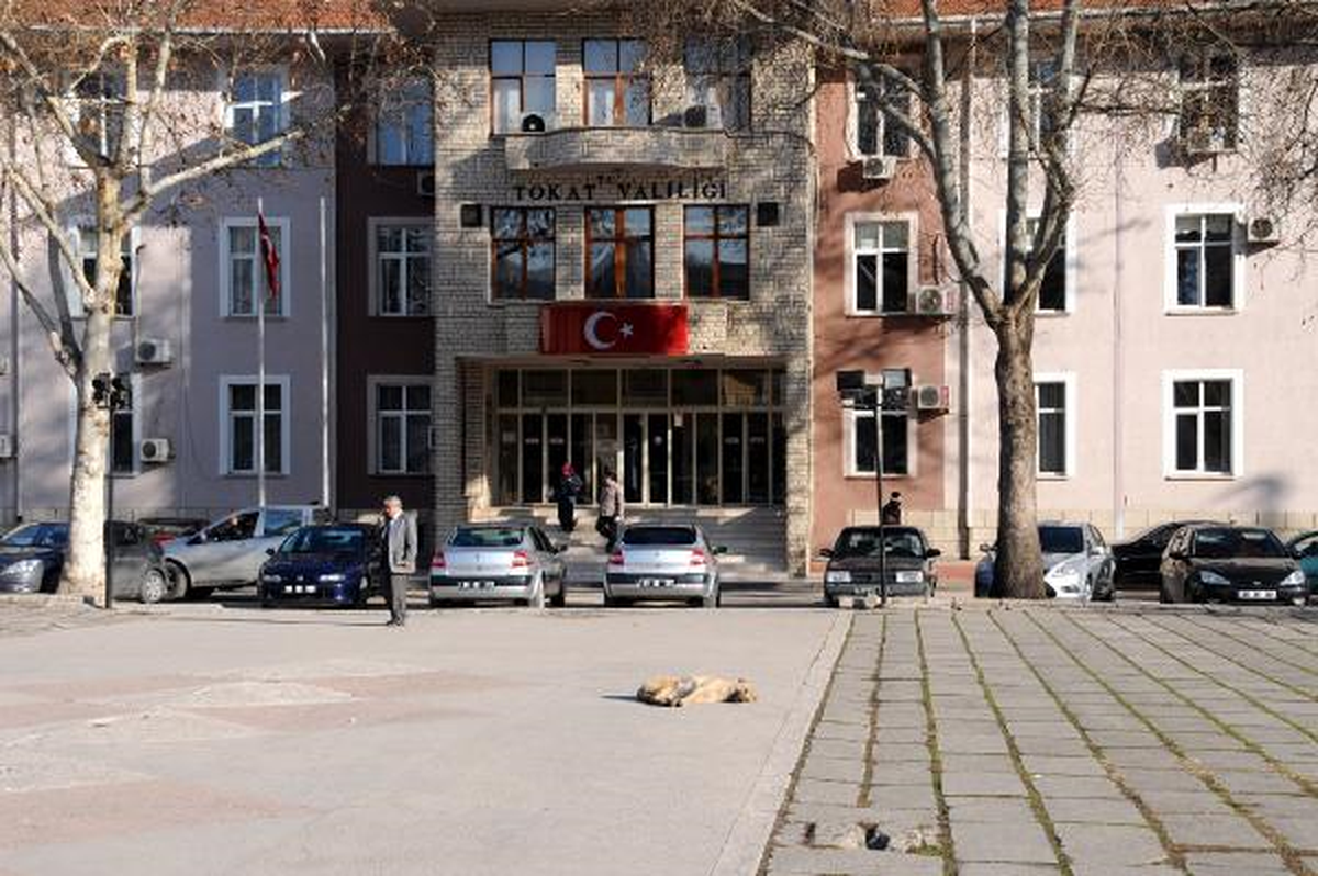 Sokak Köpeğinin Kış Güneşi Uykusu