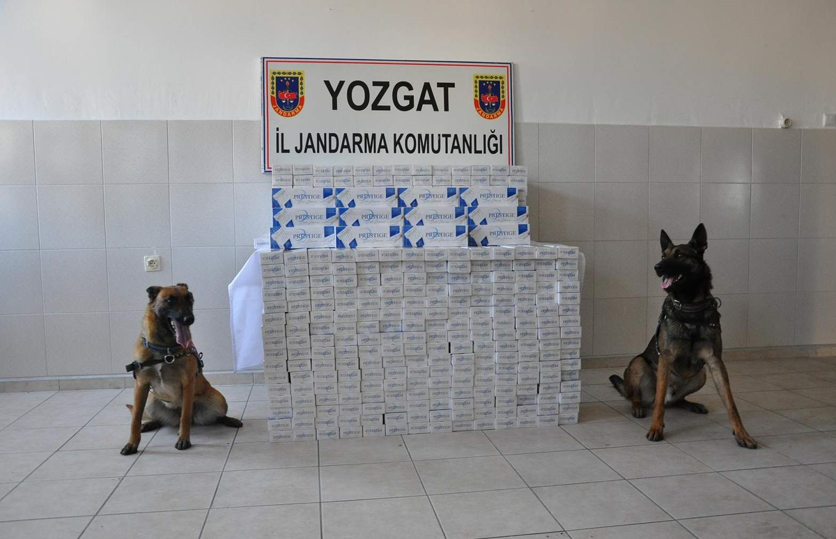 Yerköy\'de Kaçak Sigara Operasyonu