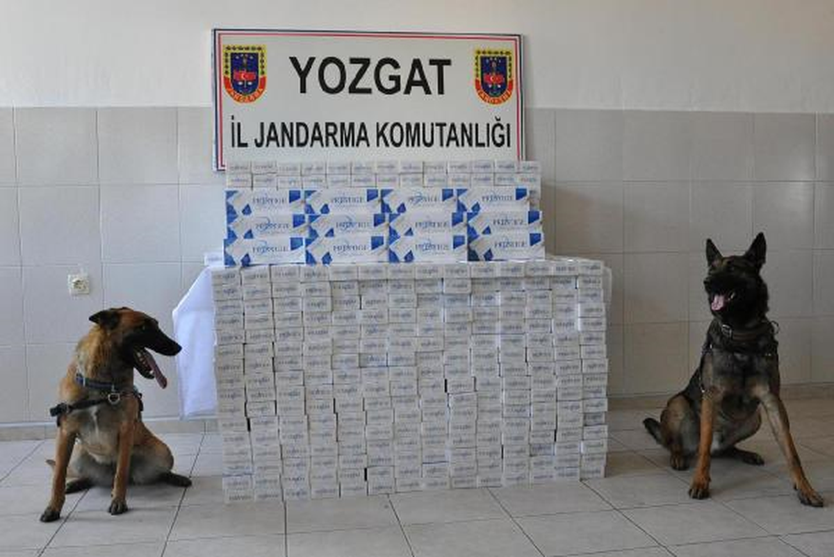 Yozgat\'ta 5 Bin Paket Kaçak Sigara Ele Geçirildi