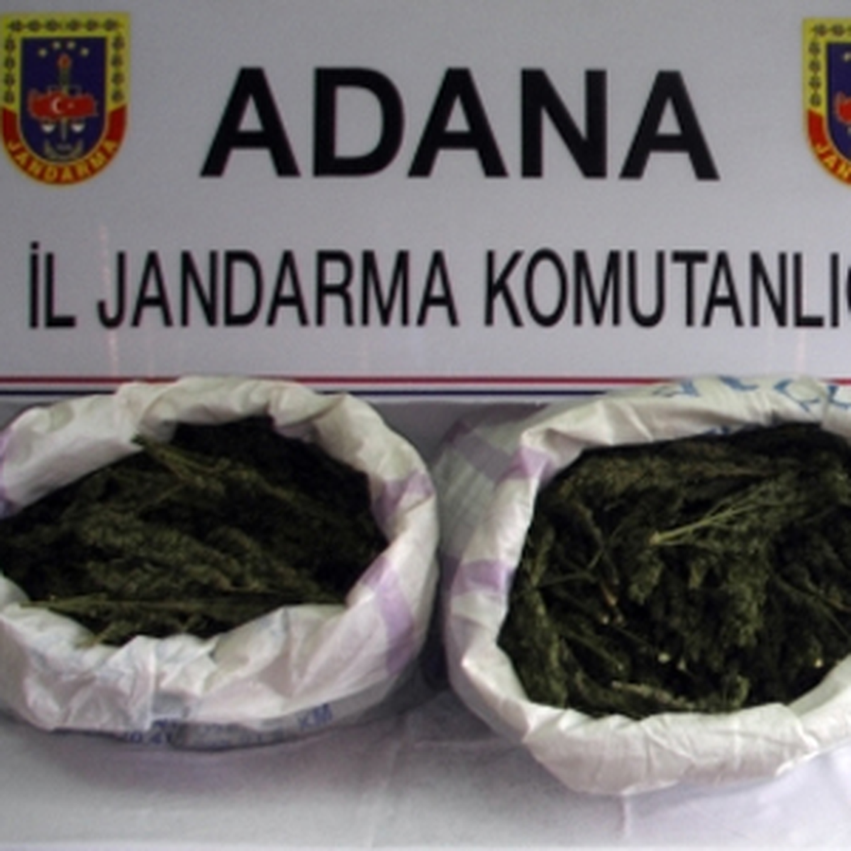 Adana\'da 30 Kilo Esrar Ele Geçirildi