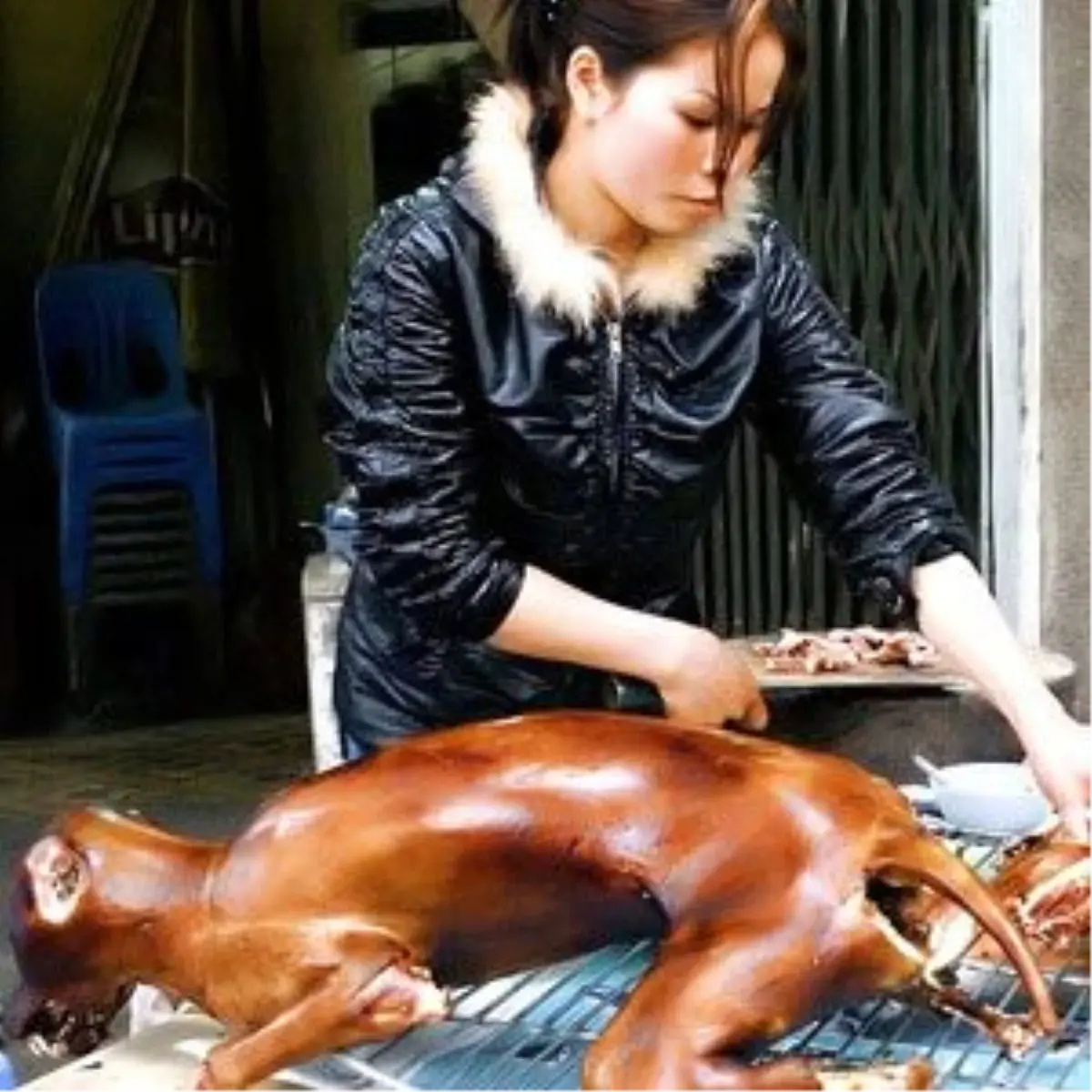 Çinli Milyarderi Kedi Eti Mi Öldürdü?