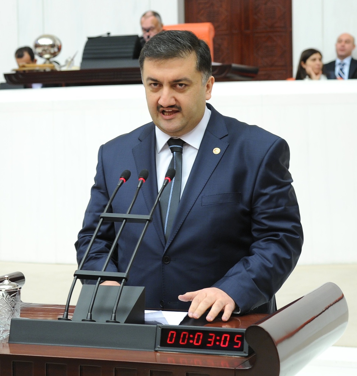 Dünyanın En Büyük Bal Ormanı Rize\'de Kuruluyor