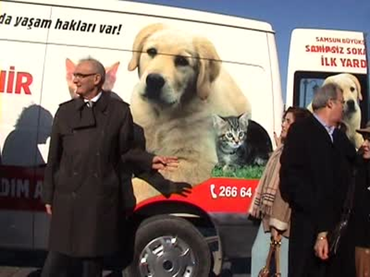Samsun'da Sahipsiz Sokak Hayvanları Ambulansı Hizmete Girdi