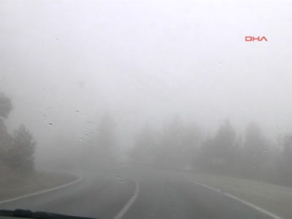 Dev Kayalar Karayoluna Düştü