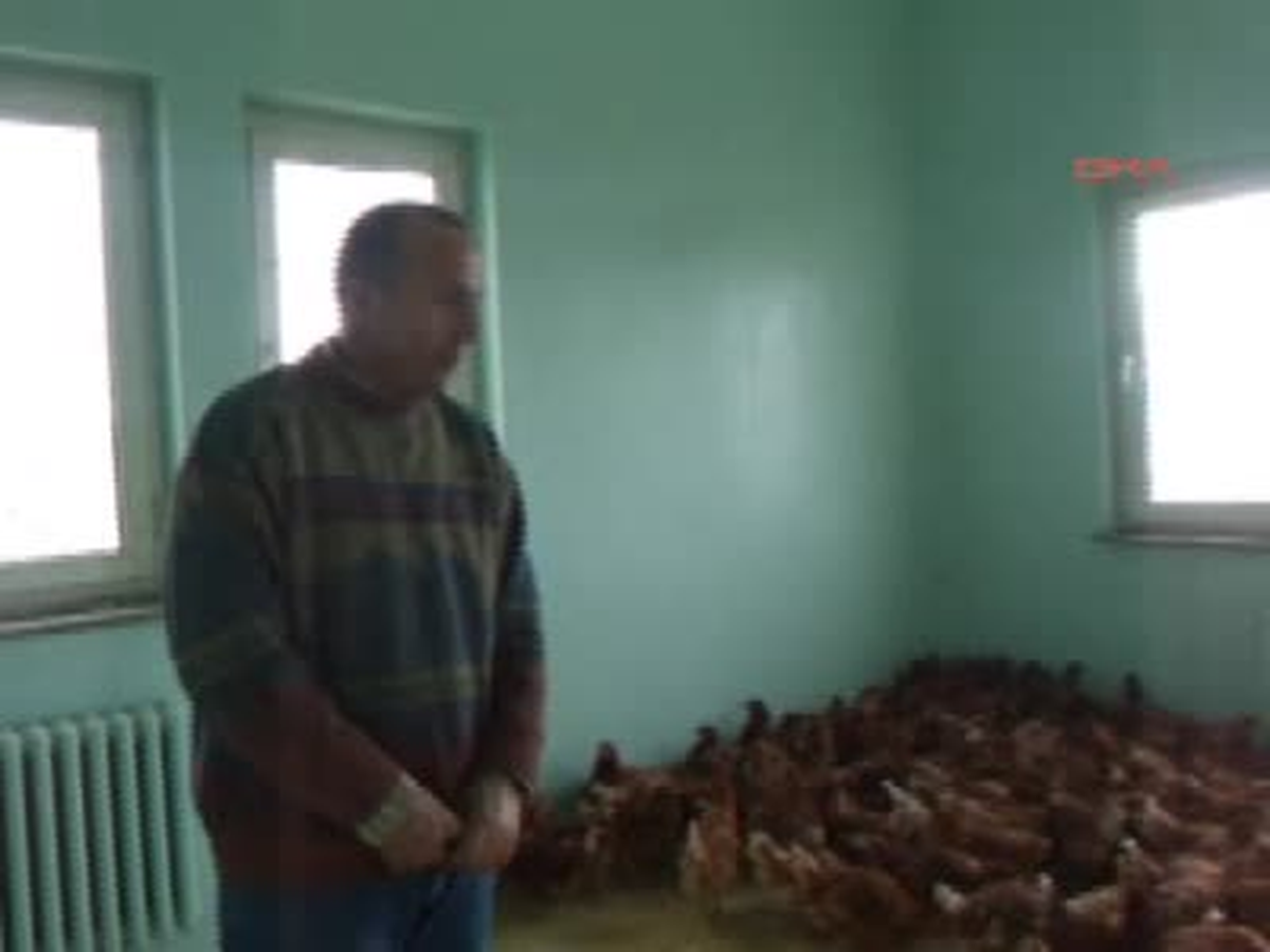 Damal Kaymakamlığı Tavuk Dağıttı