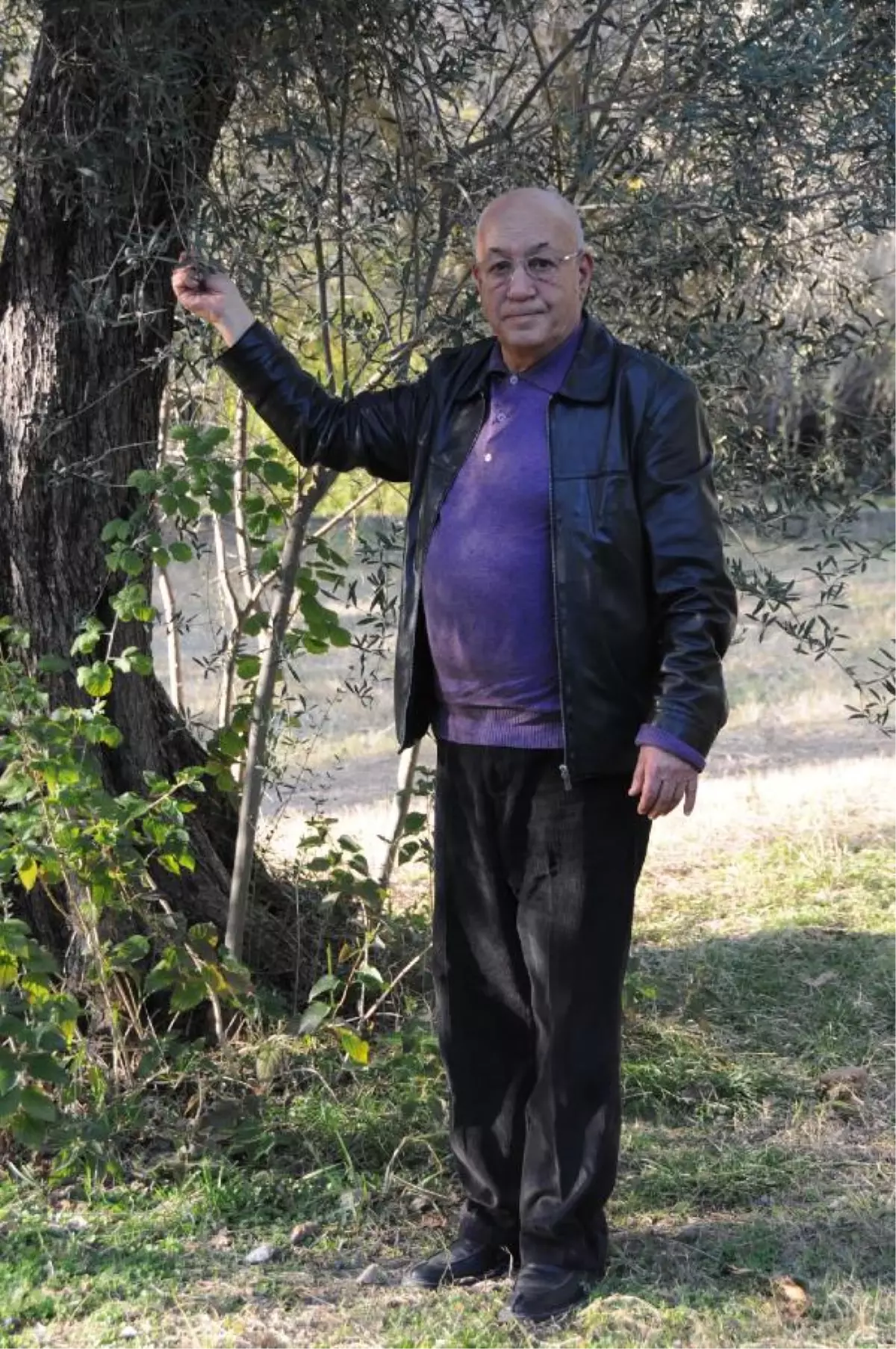 \'devlet Kömür Gibi Zeytinyağı da Dağıtsın\'