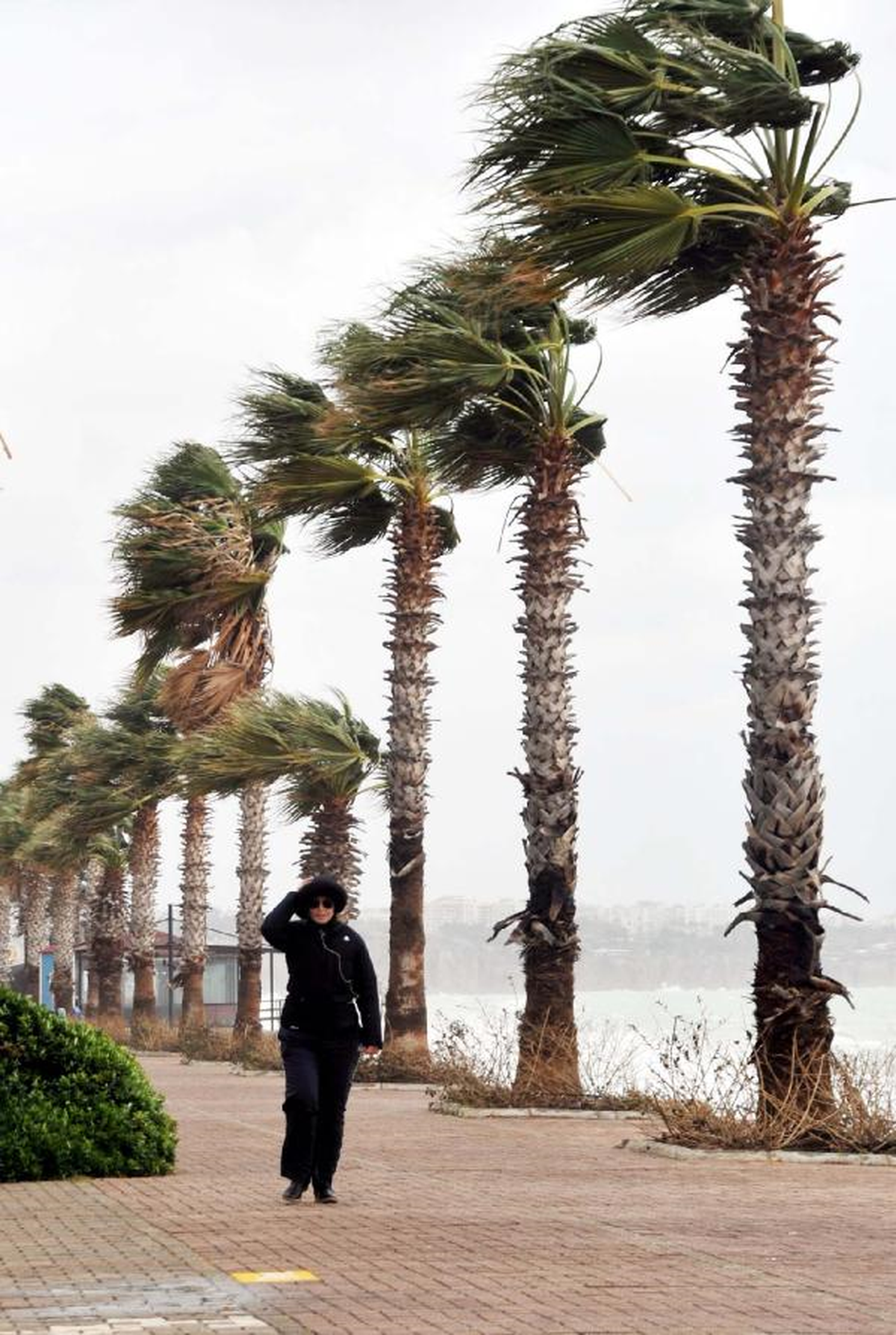 Fırtına, Antalya\'da Hayatı Olumsuz Etkiledi