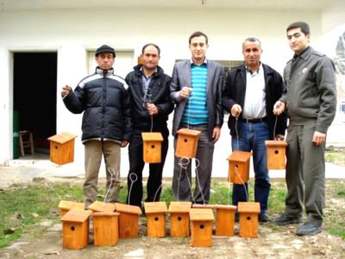 Sarıgöl\'de Keseli Tırtıl Böceği ile Mücadele