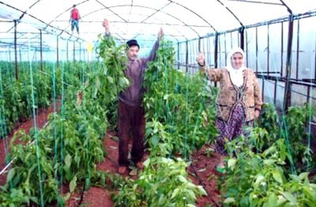 Antalya2 Hortum Seraları Vurdu
