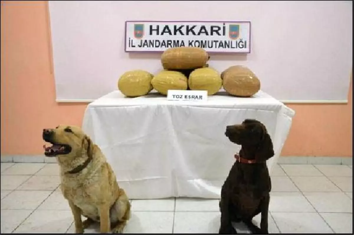 Hakkari\'de 2 Kilo Eroin, 45 Kilo Esrar Ele Geçirildi